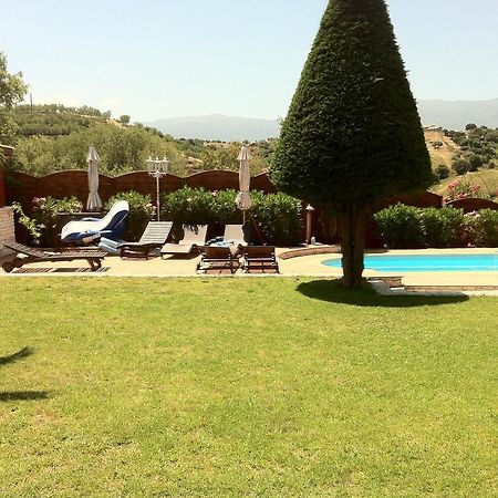 Villa Elofred Saint-Florent  Εξωτερικό φωτογραφία