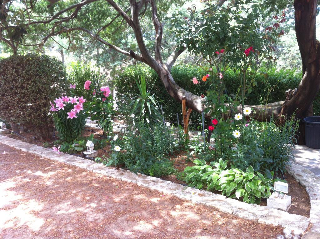 Villa Elofred Saint-Florent  Δωμάτιο φωτογραφία