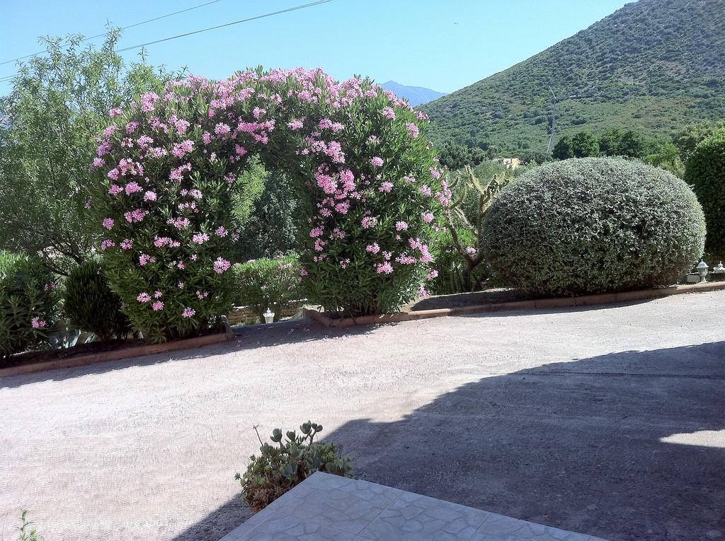 Villa Elofred Saint-Florent  Εξωτερικό φωτογραφία