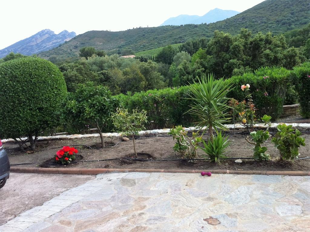Villa Elofred Saint-Florent  Εξωτερικό φωτογραφία